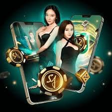911jogo